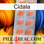 Cidala 26